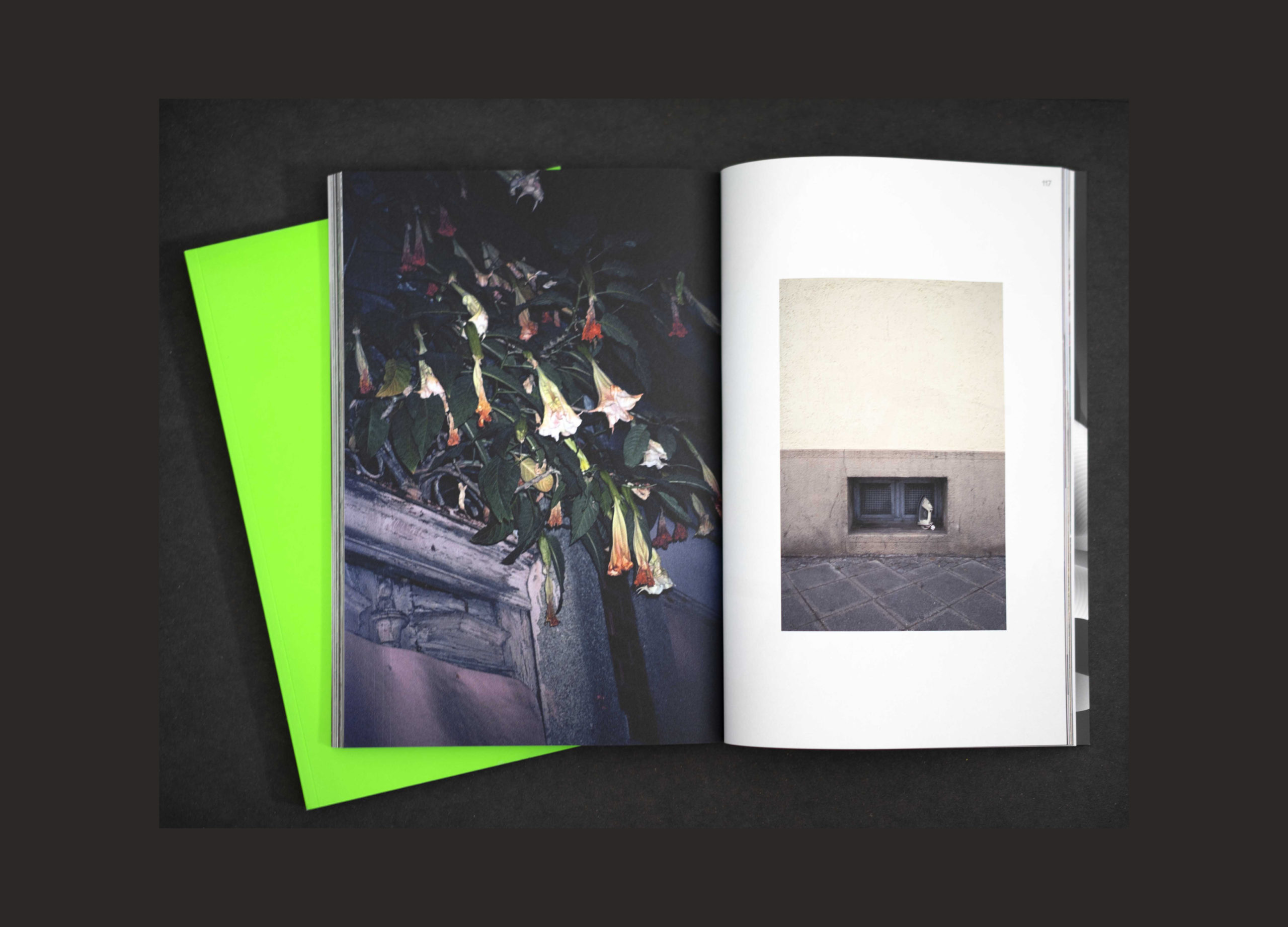 Hannah Gebauer portfolio